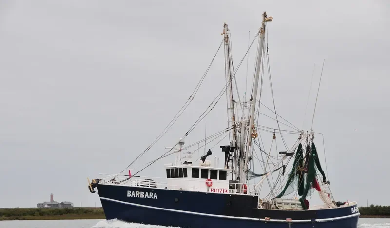 BARBARA General Cargo IMO 7947415 photo 2