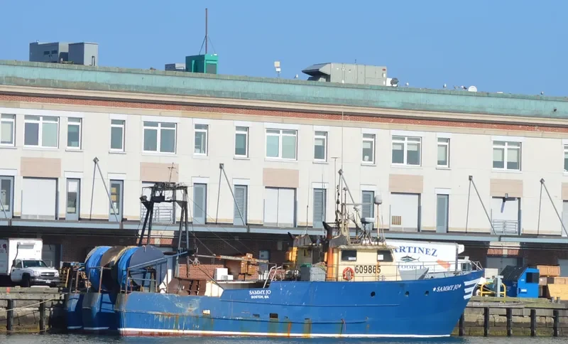 SAMMYJO General Cargo IMO 7947611 photo 3