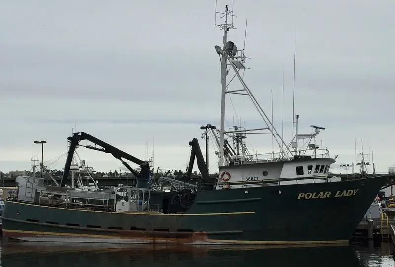 POLAR LADY General Cargo IMO 7947659