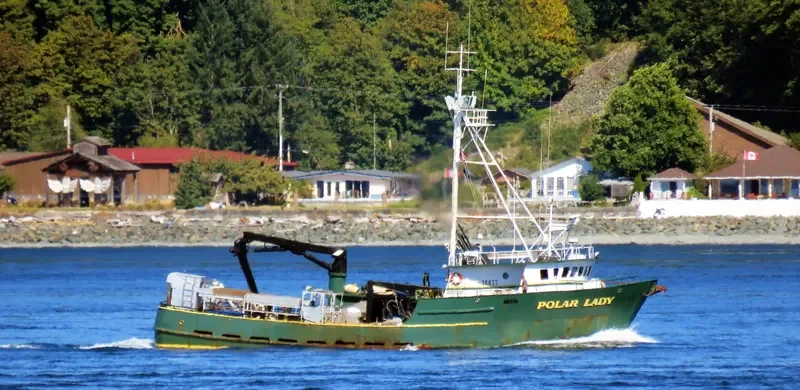 POLAR LADY General Cargo IMO 7947659 photo 2