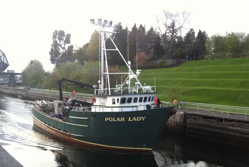 POLAR LADY General Cargo IMO 7947659 photo 10