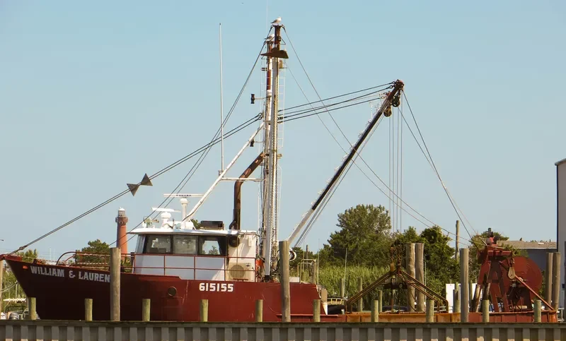 WILLIAM & LAUREN General Cargo IMO 7948433 photo 2