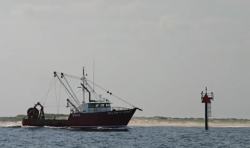 WILLIAM & LAUREN General Cargo IMO 7948433 photo 3