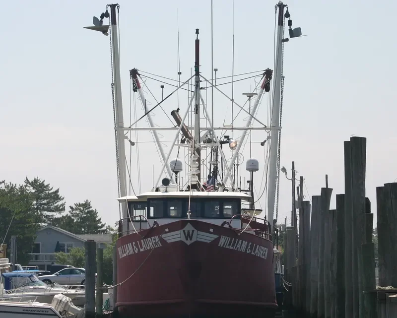 WILLIAM & LAUREN General Cargo IMO 7948433 photo 4