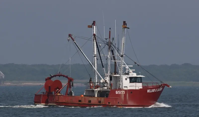 WILLIAM & LAUREN General Cargo IMO 7948433 photo 5