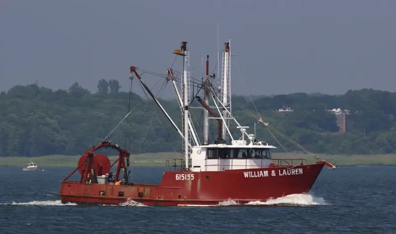 WILLIAM & LAUREN General Cargo IMO 7948433 photo 6
