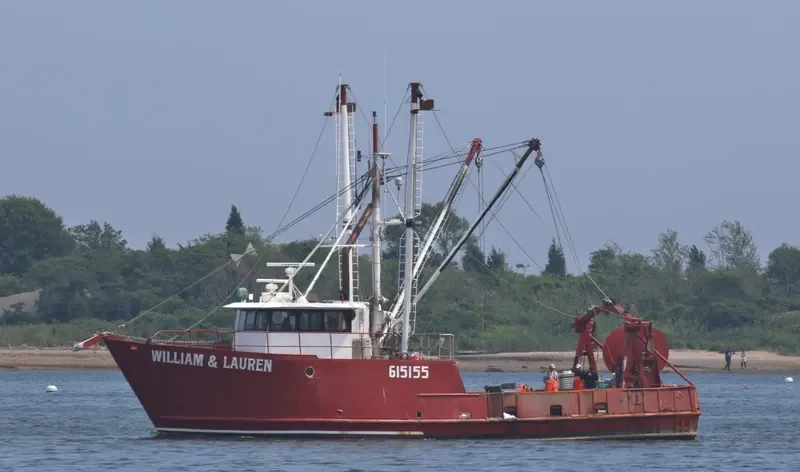 WILLIAM & LAUREN General Cargo IMO 7948433 photo 7