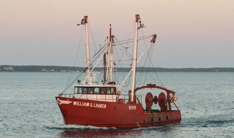 WILLIAM & LAUREN General Cargo IMO 7948433 photo 8