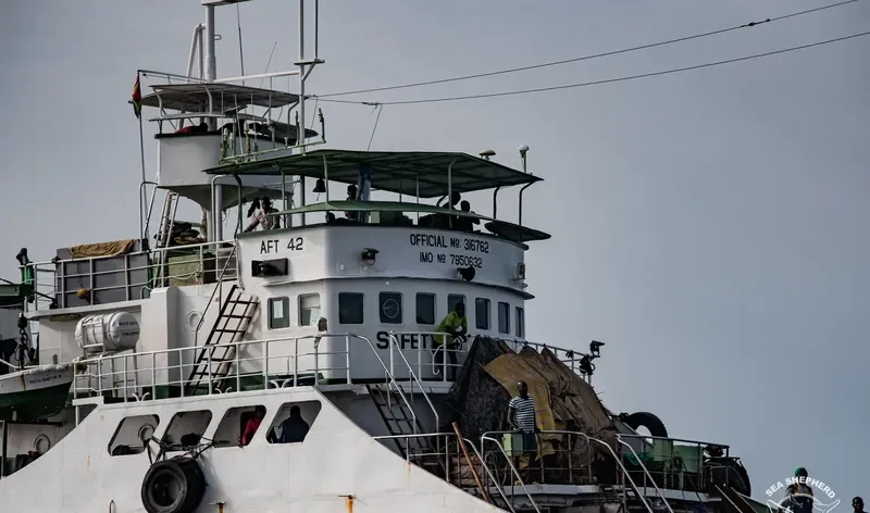 RICO SIETE General Cargo IMO 7950632 photo 2