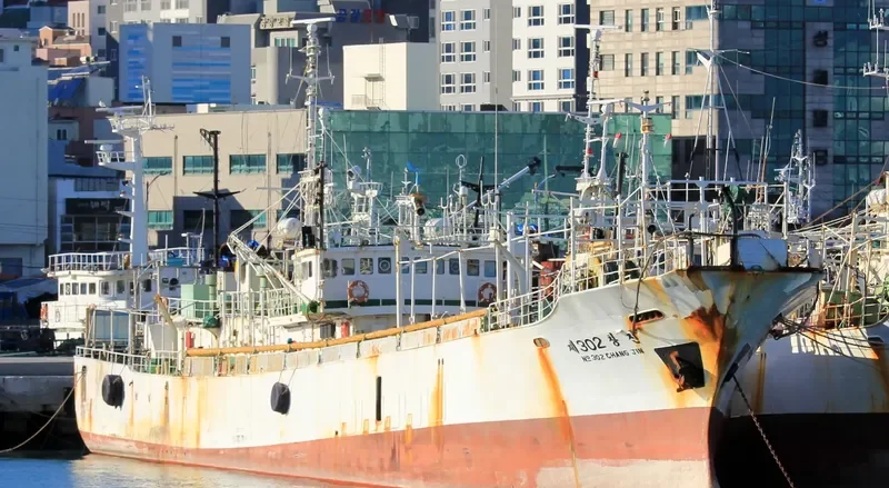 CHANG JIN NO.302 General Cargo IMO 7950747 photo 3