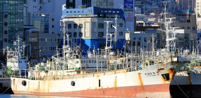 CHANG JIN NO.302 General Cargo IMO 7950747 photo 4