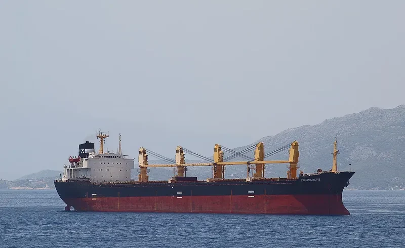 NAVIGATOR M Bulk Carrier IMO 8000252 photo 2