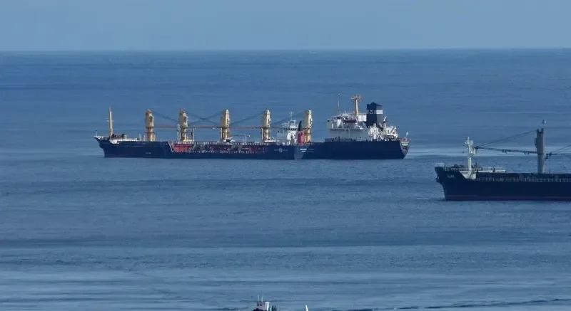 NAVIGATOR M Bulk Carrier IMO 8000252 photo 8