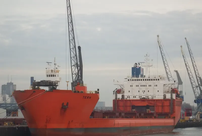 TERN General Cargo IMO 8000977 photo 6