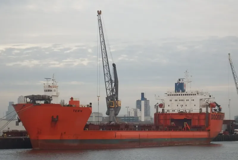 TERN General Cargo IMO 8000977 photo 7