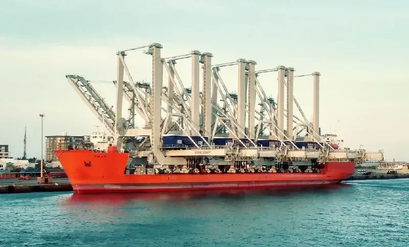 SWAN General Cargo IMO 8001000 photo 5