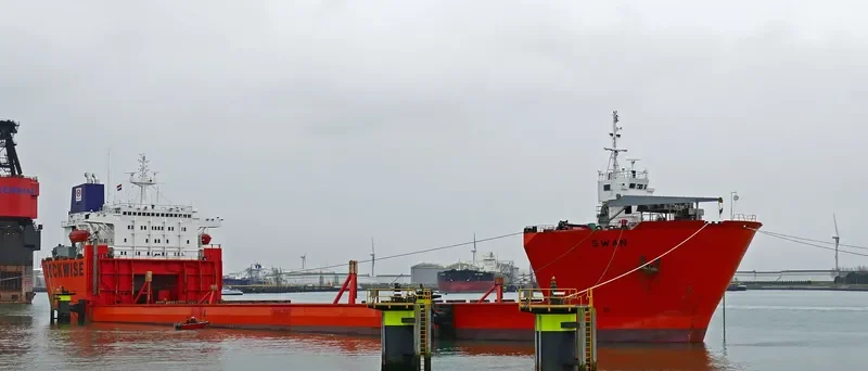 SWAN General Cargo IMO 8001000 photo 10