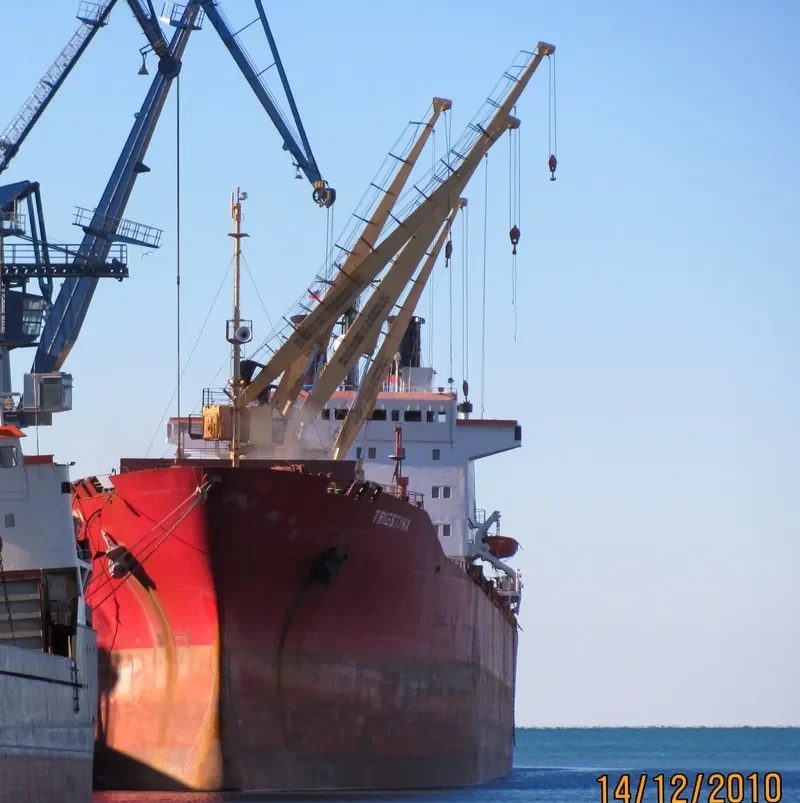 TRIESTINA Bulk Carrier IMO 8001048