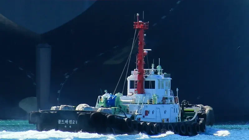 GOLD MARINE 21 Tug Boat IMO 8001531 photo 2