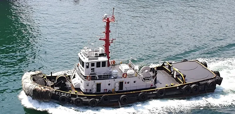 GOLD MARINE 21 Tug Boat IMO 8001531 photo 4