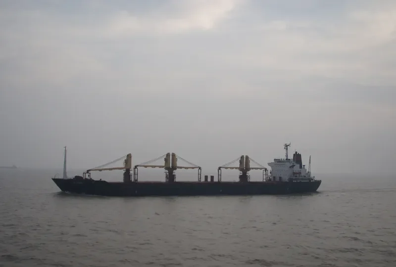 ALINA General Cargo IMO 8001543