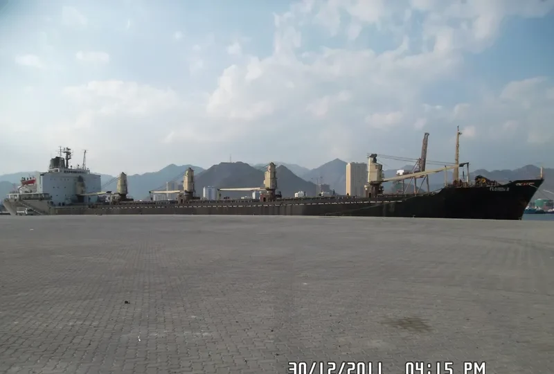 FLORIDA II Bulk Carrier IMO 8001799