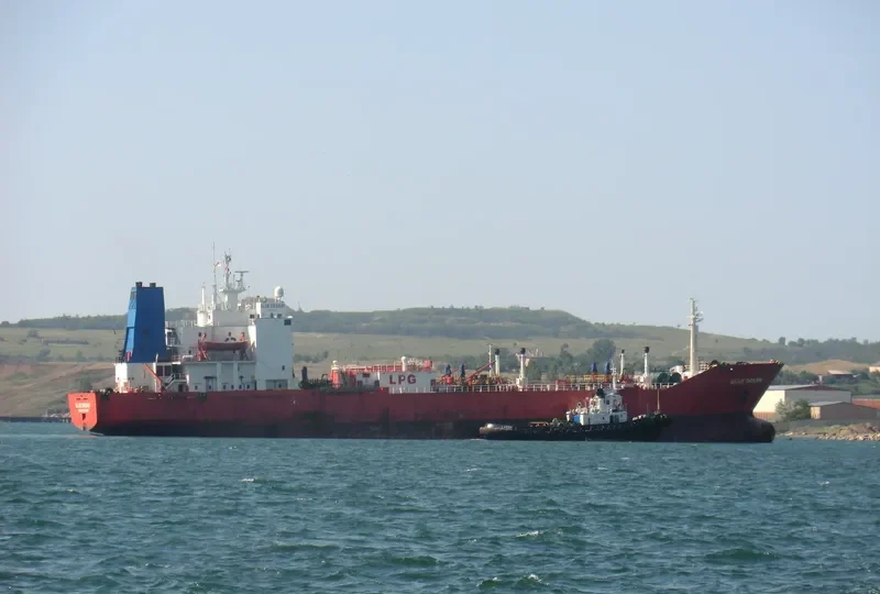 BLUE DREAM General Cargo IMO 8002664 photo 2