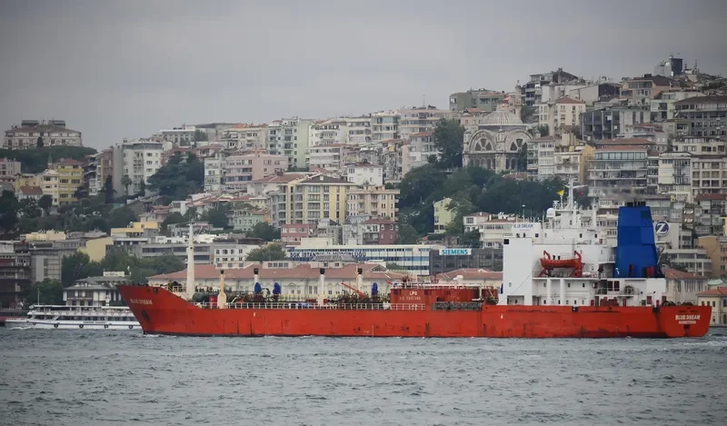 BLUE DREAM General Cargo IMO 8002664 photo 3