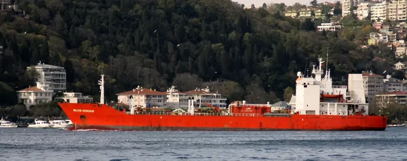 BLUE DREAM General Cargo IMO 8002664 photo 4
