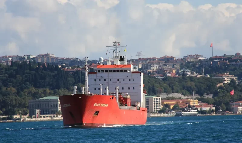 BLUE DREAM General Cargo IMO 8002664 photo 5