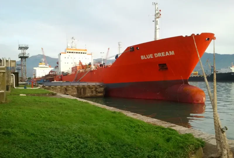 BLUE DREAM General Cargo IMO 8002664 photo 10