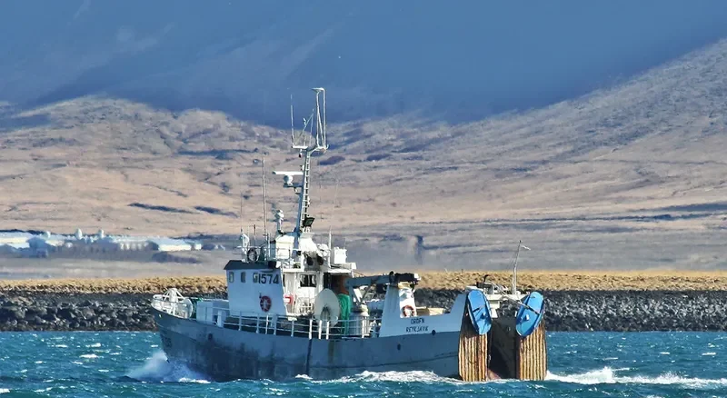 DROFN General Cargo IMO 8002755 photo 6