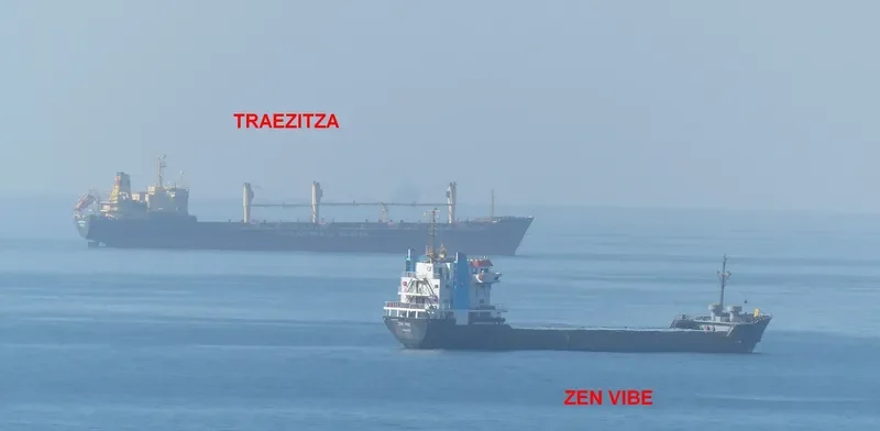 ZEN VIBE Bulk Carrier IMO 8002781