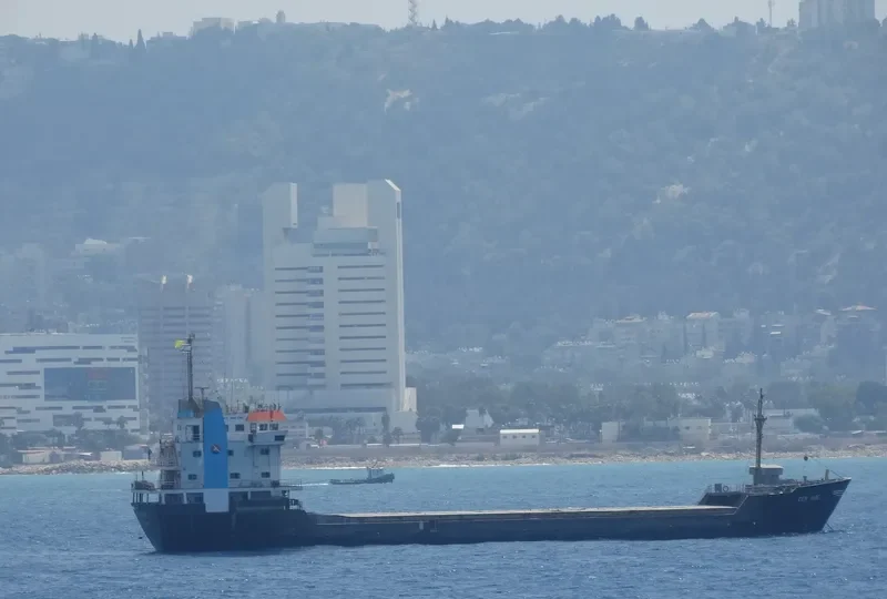 ZEN VIBE Bulk Carrier IMO 8002781 photo 2
