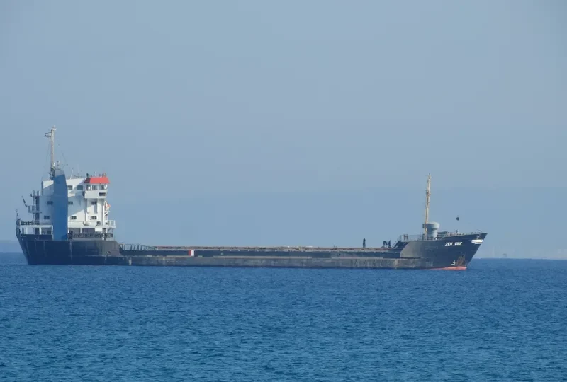 ZEN VIBE Bulk Carrier IMO 8002781 photo 3