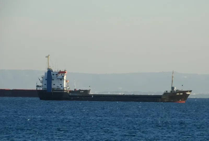 ZEN VIBE Bulk Carrier IMO 8002781 photo 4