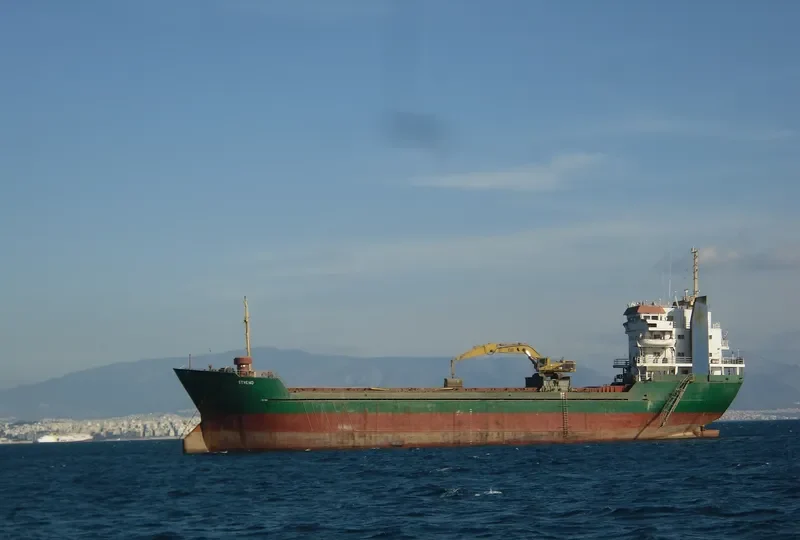 ZEN VIBE Bulk Carrier IMO 8002781 photo 5
