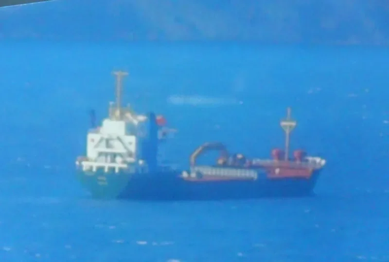 ZEN VIBE Bulk Carrier IMO 8002781 photo 6