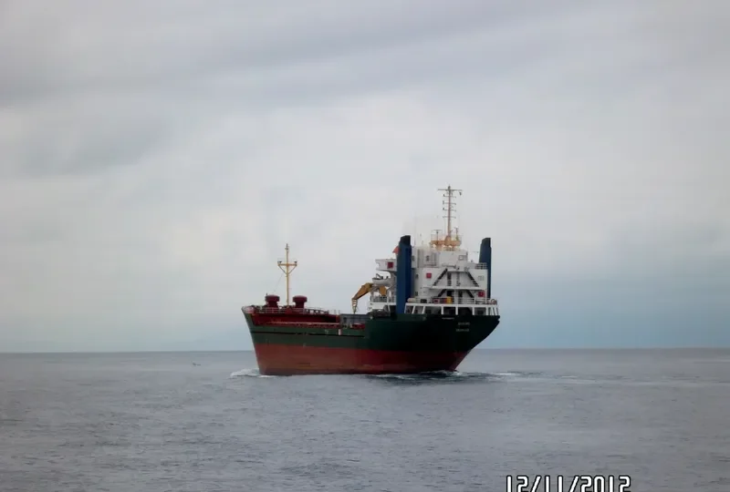 ZEN VIBE Bulk Carrier IMO 8002781 photo 7