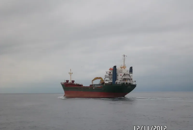 ZEN VIBE Bulk Carrier IMO 8002781 photo 8