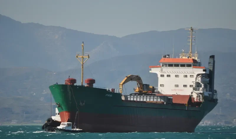 ZEN VIBE Bulk Carrier IMO 8002781 photo 10