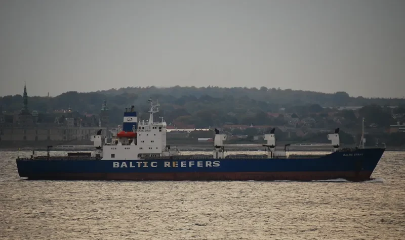 BALTIC STRAIT General Cargo IMO 8002963 photo 3