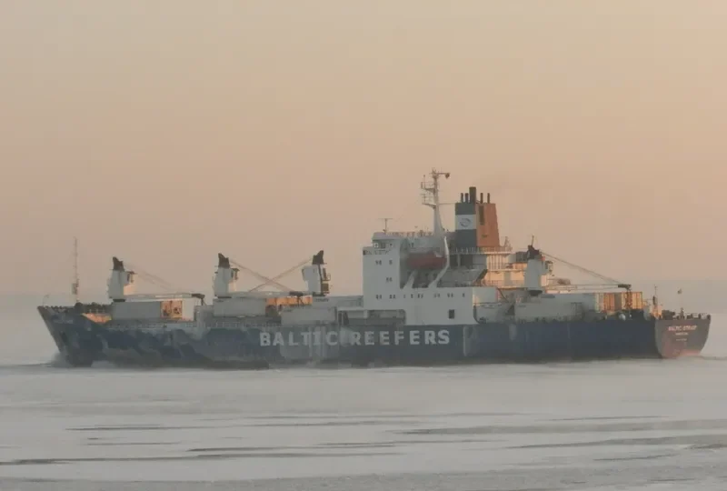 BALTIC STRAIT General Cargo IMO 8002963 photo 7