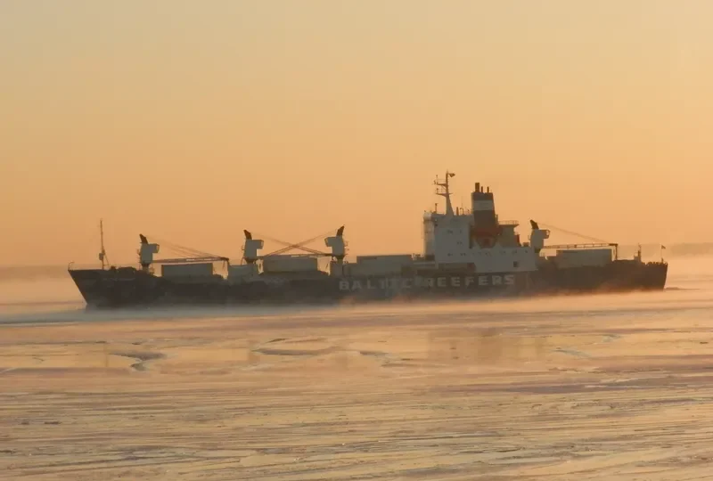 BALTIC STRAIT General Cargo IMO 8002963 photo 8