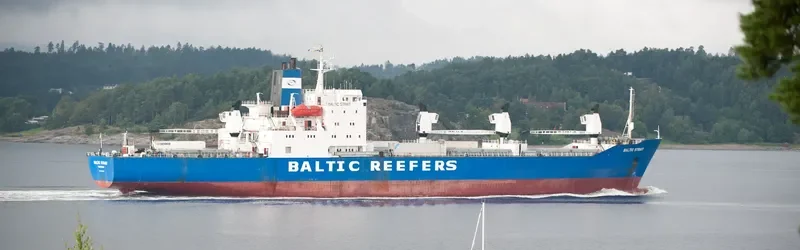 BALTIC STRAIT General Cargo IMO 8002963 photo 9