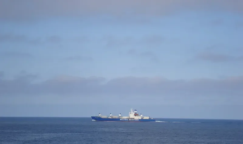BALTIC STRAIT General Cargo IMO 8002963 photo 10