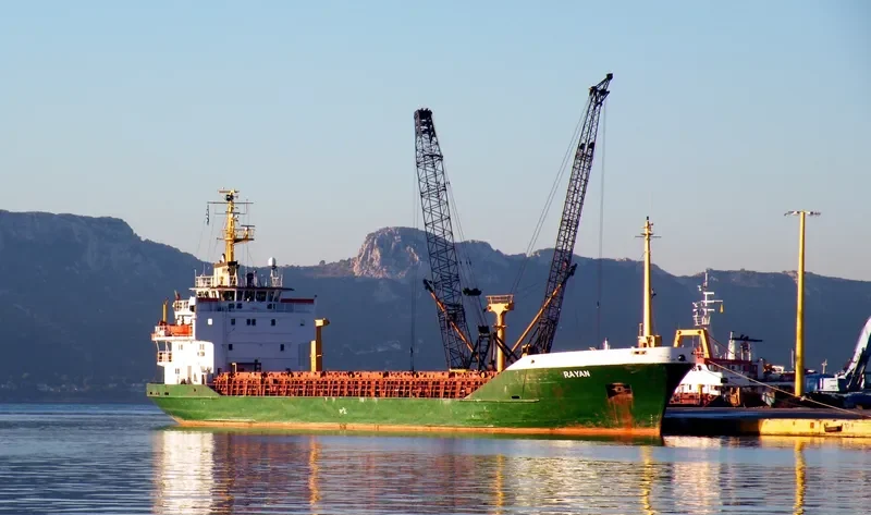 RAYAN General Cargo IMO 8003931 photo 3