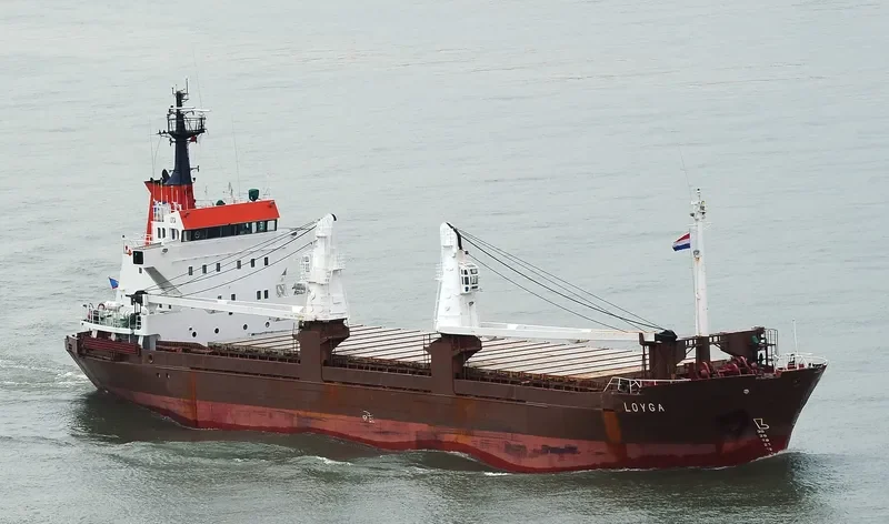 LOYGA General Cargo IMO 8004791 photo 9