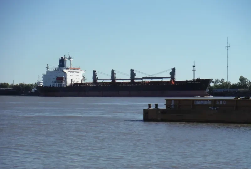 CHARLES MARTIN Bulk Carrier IMO 8005006