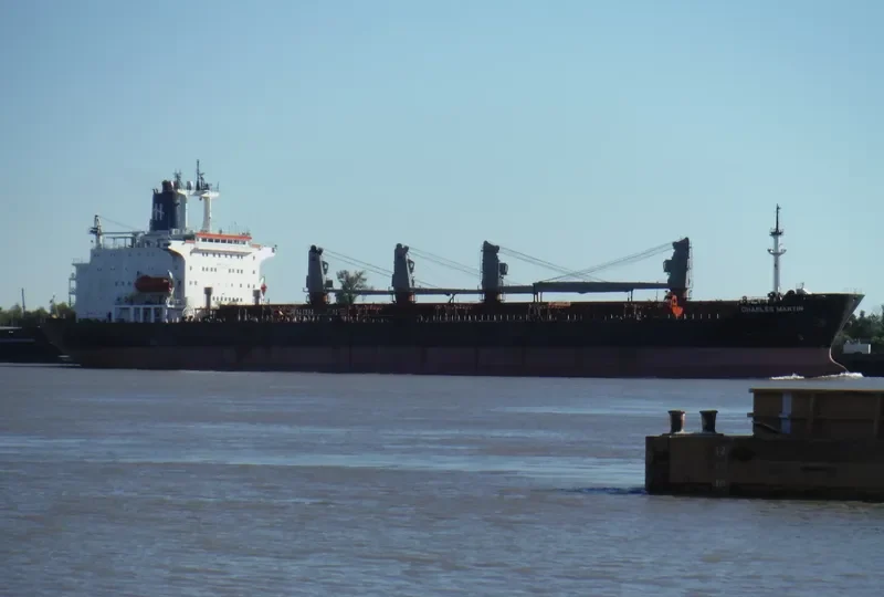 CHARLES MARTIN Bulk Carrier IMO 8005006 photo 2